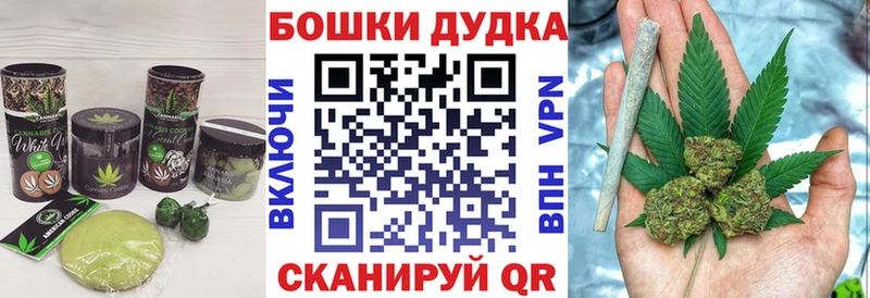 Canna-Cookies конопля  купить наркотик  Западная Двина 