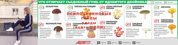 стафф Вязники
