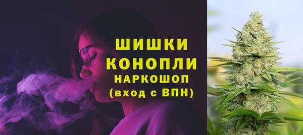 хмурый Вязьма
