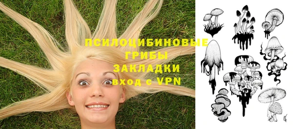 хмурый Вязьма