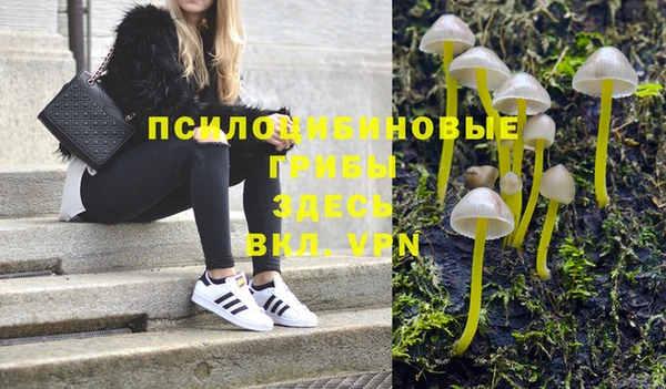 хмурый Вязьма