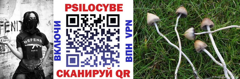 Псилоцибиновые грибы ЛСД  купить  цена  Западная Двина 