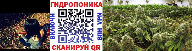 Канабис индика  где можно купить наркотик  hydra ONION  Западная Двина 